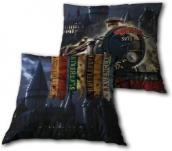 COUSSIN HARRY POTTER...