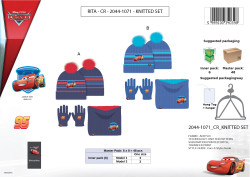 BONNET CACHE COU GANTS CARS...