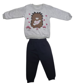 Ensemble 2 Pièces 2053 GRIS