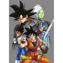 Plaid DRAGON BALL 008DBS-PF