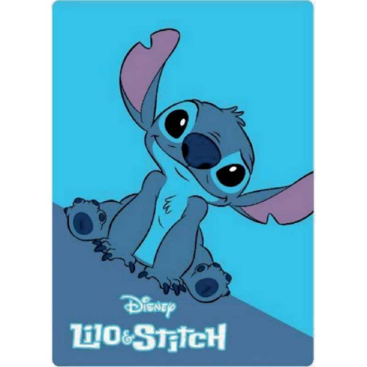 InsideDlpCastle on X: 🛍️Le plaid Stitch, pourrait bien vous servir, en  attendant prochainement dans le froid, Disney Illumination 😅❄️ Prix: 30€  #DisneylandParis  / X